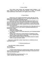 Referāts 'Biznesa plāna izveide', 5.