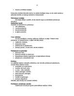 Referāts 'Biznesa plāna izveide', 8.