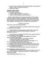 Referāts 'Biznesa plāna izveide', 9.