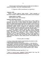 Referāts 'Biznesa plāna izveide', 10.