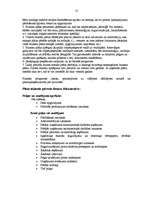 Referāts 'Biznesa plāna izveide', 11.