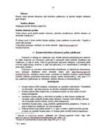 Referāts 'Biznesa plāna izveide', 12.