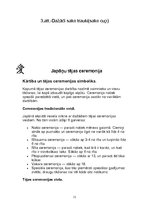 Referāts 'Japānas galda kultūra', 11.