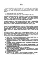 Konspekts 'Redze', 1.