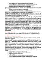 Konspekts 'Tiesību teorija', 17.