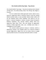 Referāts 'Vācu klasiskā estētika un filosofija', 2.