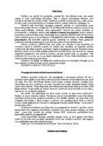 Konspekts 'Reklāma', 1.