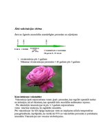 Konspekts 'Ērces un to pārnēsātās infekcijas', 12.