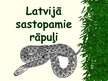 Prezentācija 'Latvijā sastopamās čūskas', 1.