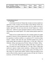 Referāts 'Transporta nozares attīstība', 13.