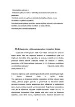 Prakses atskaite 'Kvalifikācijas prakses atskaite 3.kursā', 48.