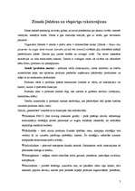 Referāts 'Zīmola priekšrocības un trūkumi', 3.