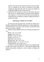 Referāts 'Zīmola priekšrocības un trūkumi', 10.