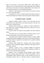 Diplomdarbs 'Nekustamā īpašuma atsavināšanas darījumi Latvijas Republikā', 34.