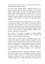Diplomdarbs 'Nekustamā īpašuma atsavināšanas darījumi Latvijas Republikā', 49.