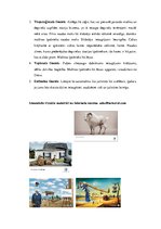 Paraugs 'Volksvagen automašīnu reklāmas analīze', 5.