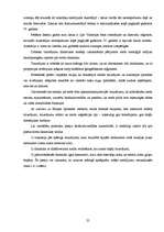 Diplomdarbs 'Meža ugunsgrēku ietekmes uz apkārtējo vidi izvērtējums', 25.