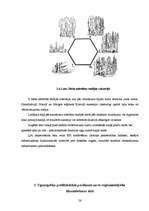 Diplomdarbs 'Meža ugunsgrēku ietekmes uz apkārtējo vidi izvērtējums', 26.