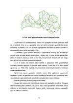 Diplomdarbs 'Meža ugunsgrēku ietekmes uz apkārtējo vidi izvērtējums', 32.