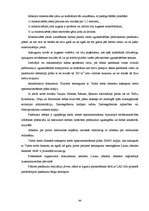 Diplomdarbs 'Meža ugunsgrēku ietekmes uz apkārtējo vidi izvērtējums', 44.