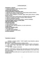 Referāts 'Finanšu riska novērtēšana SIA "Anna"', 2.