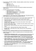 Konspekts 'Pasaules telpiskās struktūras un ģeogrāfiskais novietojums', 2.