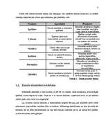 Referāts 'Zīmols', 6.