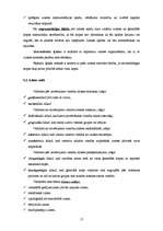 Referāts 'Graudaugu sējumu platības Latvijā', 15.