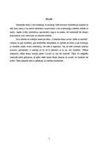 Referāts 'Žurnālista ētika Latvijā: ideāls un realitāte', 3.