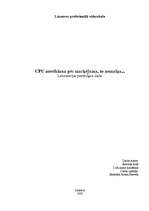 Referāts 'CPU nomaiņa, marķējums, noteikšana', 1.
