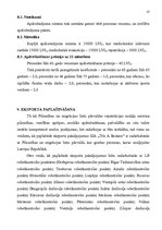 Referāts 'Eksporta plāns SIA "Trīs A Brokers"', 13.