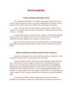 Referāts 'Friziera profesija, darbs, frizētavu izvietojums', 1.