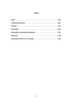 Referāts 'Vai demokrātija ir vairākuma vara', 2.