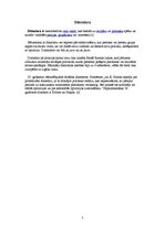 Referāts 'Vai demokrātija ir vairākuma vara', 5.