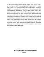 Referāts 'Mūžam neaprakstāmā Čehija', 10.