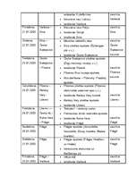 Referāts 'Mūžam neaprakstāmā Čehija', 27.