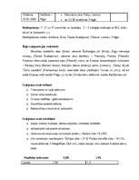 Referāts 'Mūžam neaprakstāmā Čehija', 28.