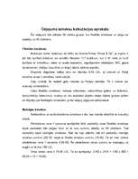 Referāts 'Mūžam neaprakstāmā Čehija', 32.