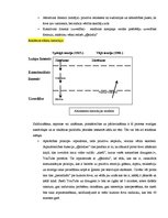 Paraugs 'Reklāmas kampaņas izveide', 6.