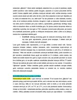 Paraugs 'Reklāmas kampaņas izveide', 8.