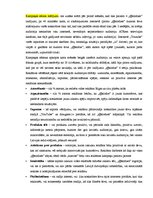 Paraugs 'Reklāmas kampaņas izveide', 12.