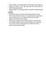 Paraugs 'Reklāmas kampaņas izveide', 14.