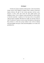 Referāts 'Romiešu karamāksla', 17.