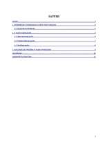 Referāts 'Informācijas tehnoloģiju audita process', 2.