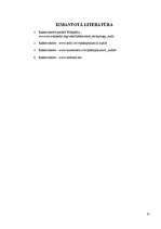 Referāts 'Informācijas tehnoloģiju audita process', 11.