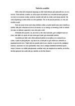 Eseja 'Ikdienā iespējamās bīstamās situācijas un droša vide', 2.