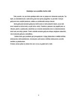 Eseja 'Ikdienā iespējamās bīstamās situācijas un droša vide', 9.