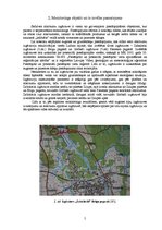 Referāts 'Augsnes un pazemes ūdeņu piesārņojuma kontroles veikšana slēgtajās atkritumu izg', 5.