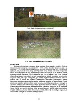 Referāts 'Augsnes un pazemes ūdeņu piesārņojuma kontroles veikšana slēgtajās atkritumu izg', 13.