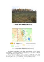 Referāts 'Augsnes un pazemes ūdeņu piesārņojuma kontroles veikšana slēgtajās atkritumu izg', 16.